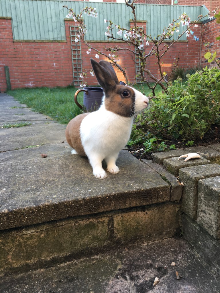 E5740346-BF00-40FD-9313-C57CF63E7AAD