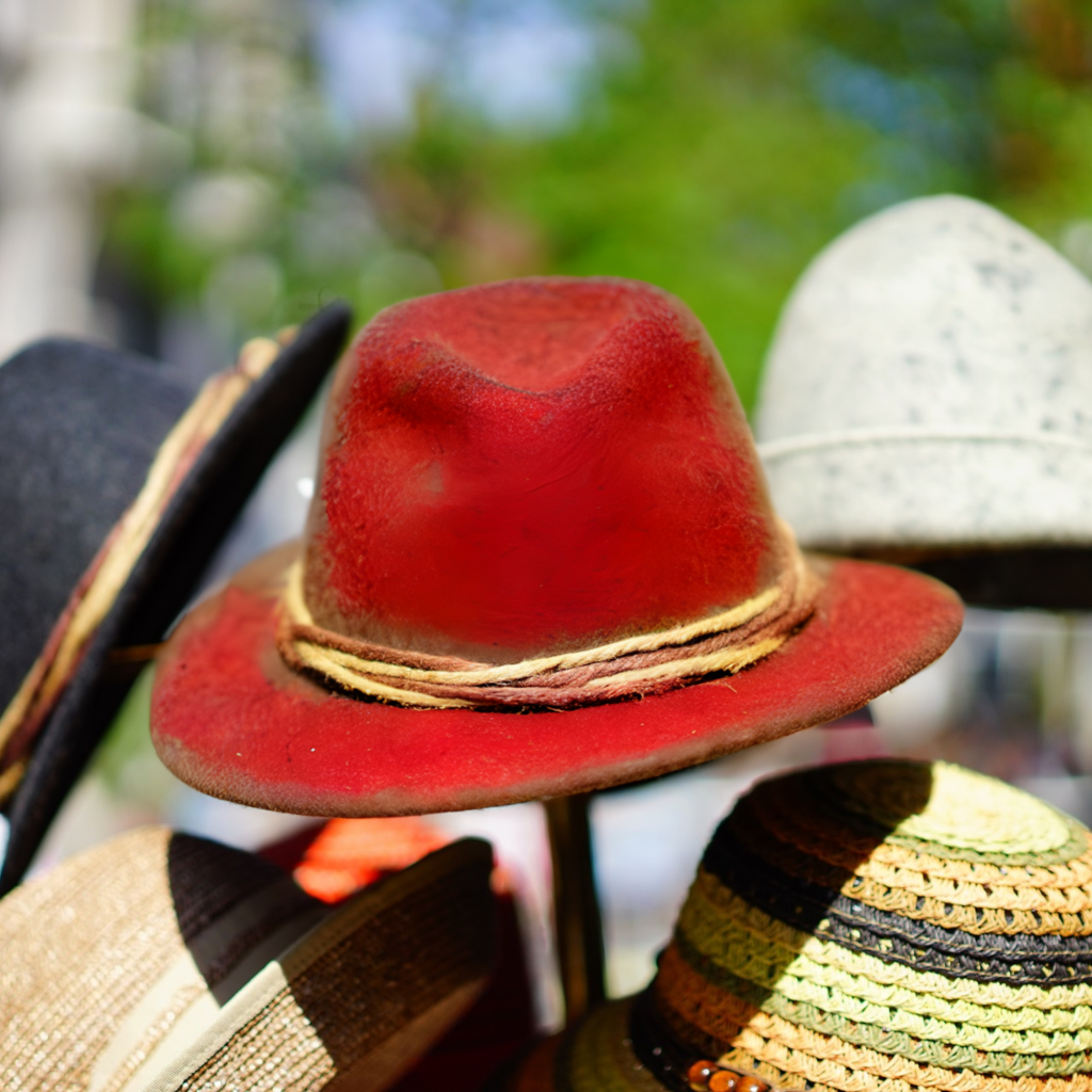 Anne’s Classics MA Journey